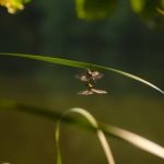 cc直播吧浙江卫视精彩节目实时在线观看 0a1bf