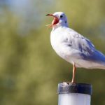 CDTV3在线直播高清流畅观看最新音乐节目 46m8r