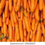 CC直播网速慢怎么办?手机优化技巧全解析 8dxk7mp4c0