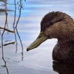 CETV3在线直播观看入口及高清同步直播平台 hc4qx