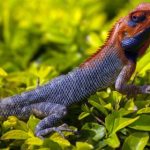 CGTN直播:全球新闻动态实时追踪报道 j4tqup83