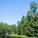 金沙平台注册网站常见问题与解决办法,快速掌握注册步骤与账号安全要点 j6soma