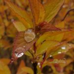 金海岸平台如何助力创业者实现梦想与目标 ty6gc