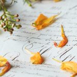 CC丅V5在线直播高清观看体育赛事 xt21tlv6