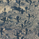 《非诚勿扰》精彩直播现场,心动嘉宾浪漫邂逅全程直击 3tlf040kut